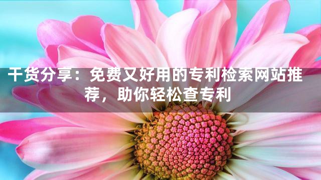 干貨分享：免費(fèi)又好用的專利檢索網(wǎng)站推薦，助你輕松查專利