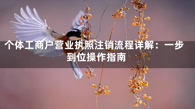 個(gè)體工商戶營(yíng)業(yè)執(zhí)照注銷流程詳解：一步到位操作指南