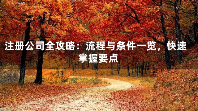 注冊(cè)公司全攻略：流程與條件一覽，快速掌握要點(diǎn)