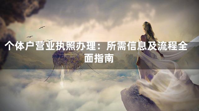 個(gè)體戶營(yíng)業(yè)執(zhí)照辦理：所需信息及流程全面指南