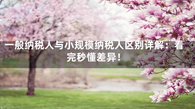 一般納稅人與小規(guī)模納稅人區(qū)別詳解：看完秒懂差異！
