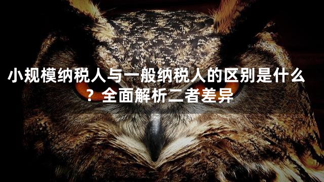 小規(guī)模納稅人與一般納稅人的區(qū)別是什么？全面解析二者差異