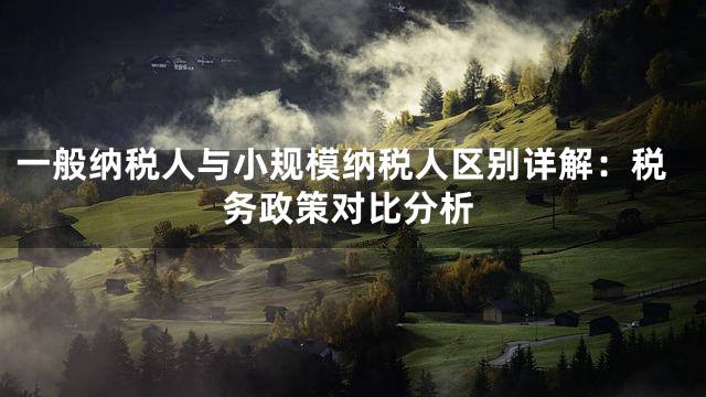 一般納稅人與小規(guī)模納稅人區(qū)別詳解：稅務(wù)政策對(duì)比分析
